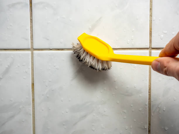 Best Residential Mold Removal  in Mound, MN